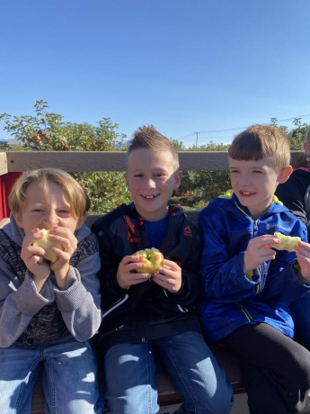 Boys eating apples 