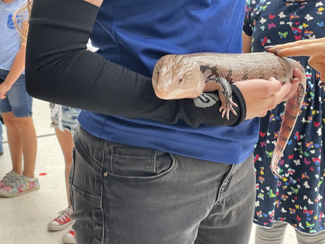 students petting a reptile held by an aquarium employee