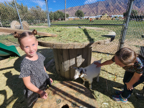 Students pet a goat on the farm