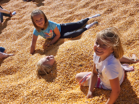 Students playing in the corn